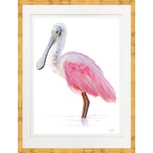 KS- SPOONBILL 2